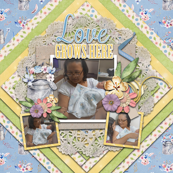 Love Grows Here