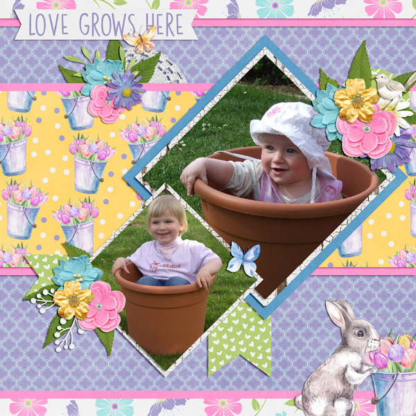 love grows here