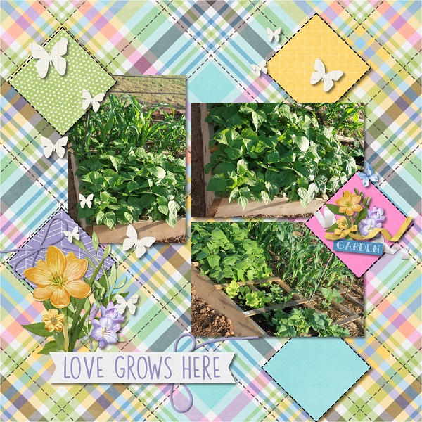 Love Grows Here