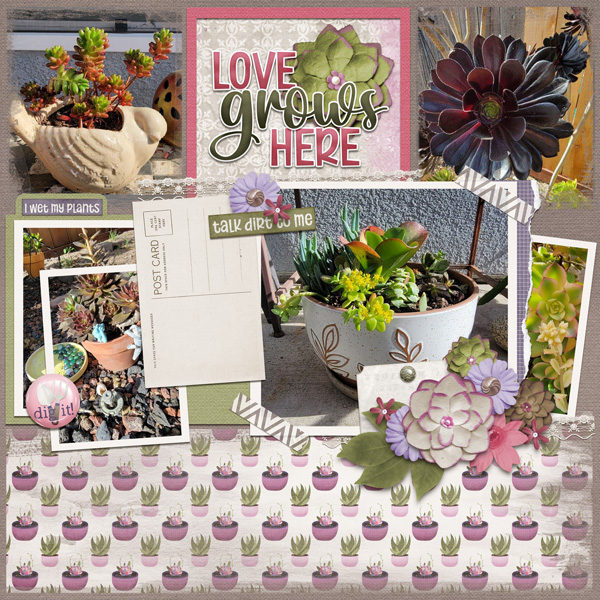 Love Grows Here