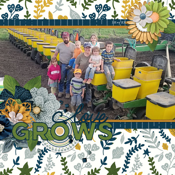 Love Grows
