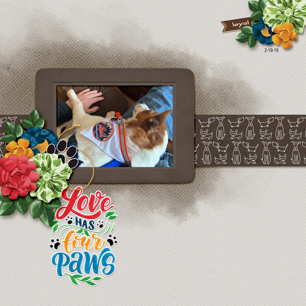 Love has four paws