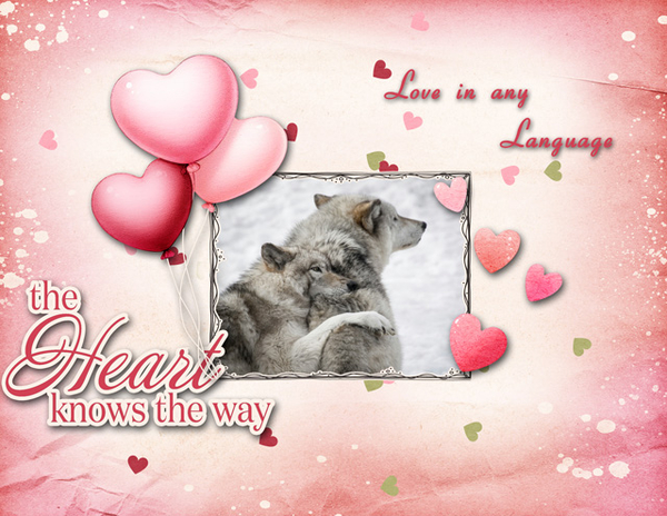 Love in any Language
