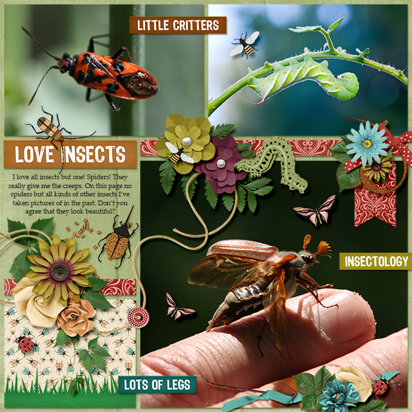 Love insects
