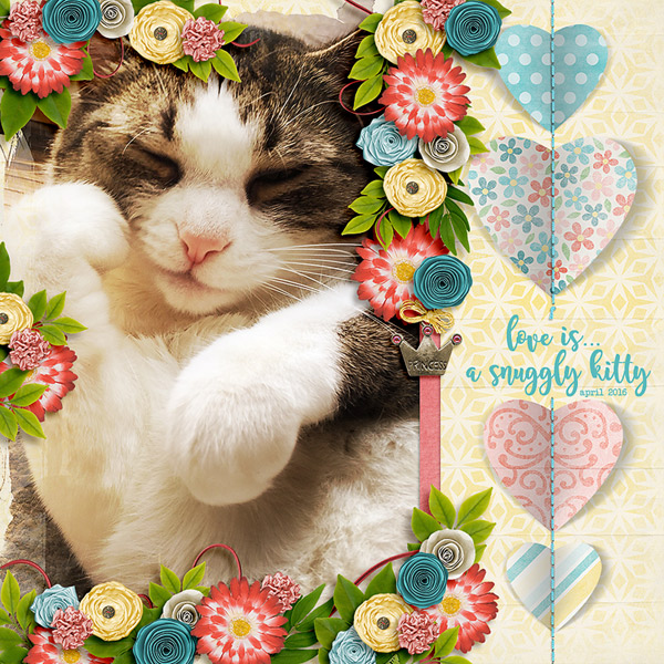 love is a cat