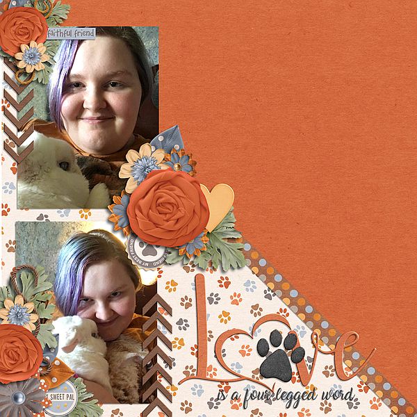 Love is a four legged word