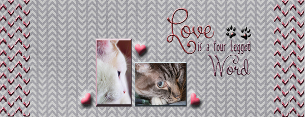 Love Is A Four Legged Word