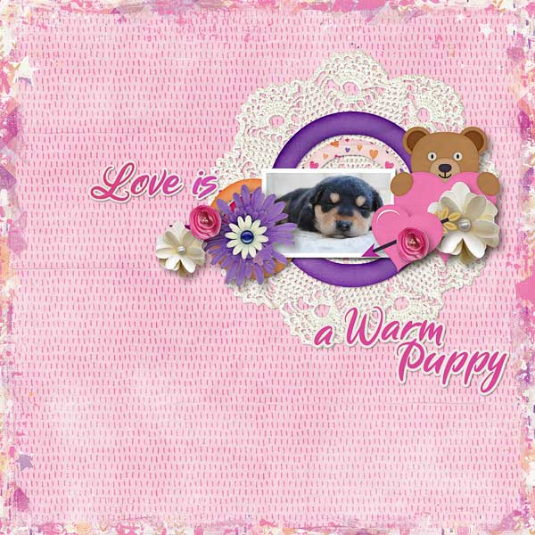Love Is A Warm Puppy