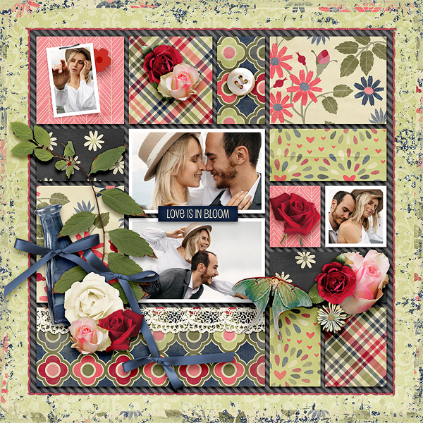 Love is in Bloom