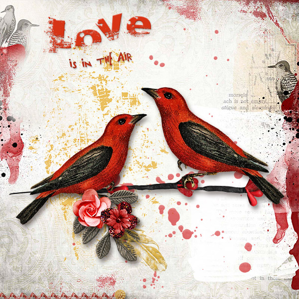 Love is in the air