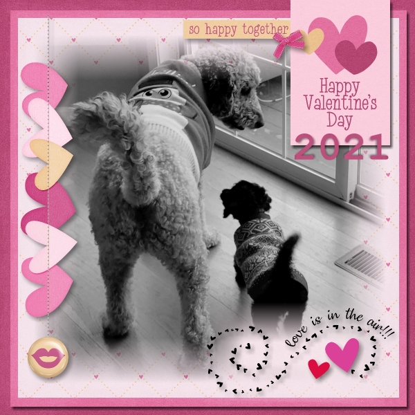 Love Is in the Air