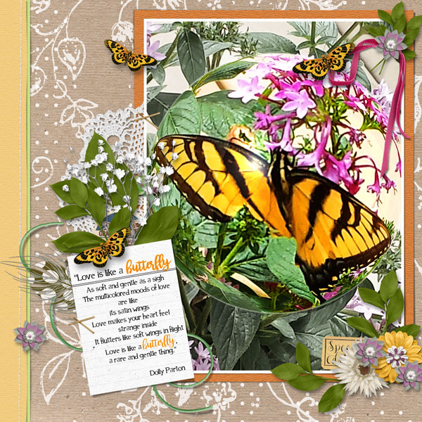 Love is like a butterfly