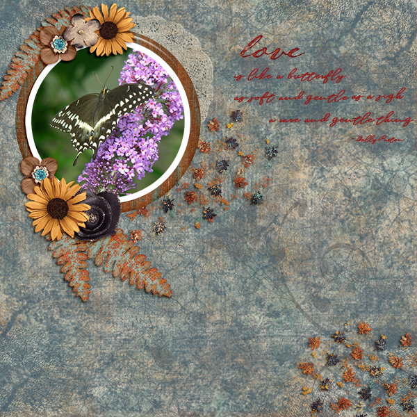 Love is Like A Butterfly