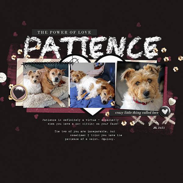Love is Patience