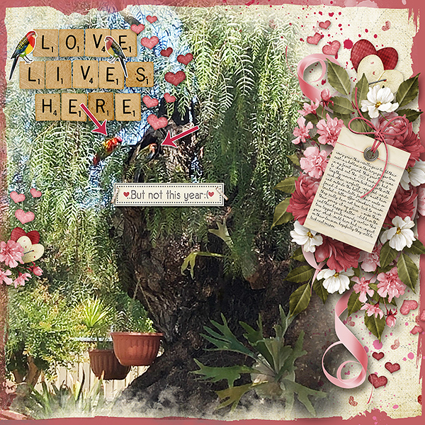 Love Lives Here