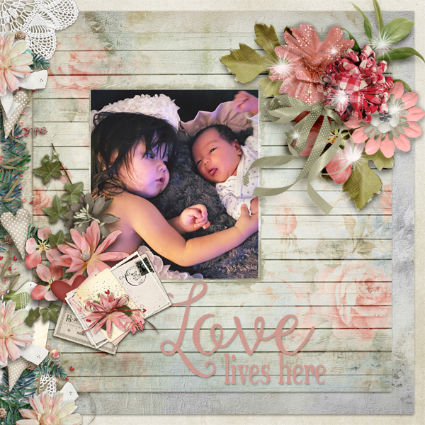 Love-lives-here4