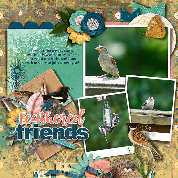 Love My Birds
