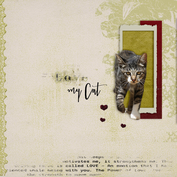 Love my Cat