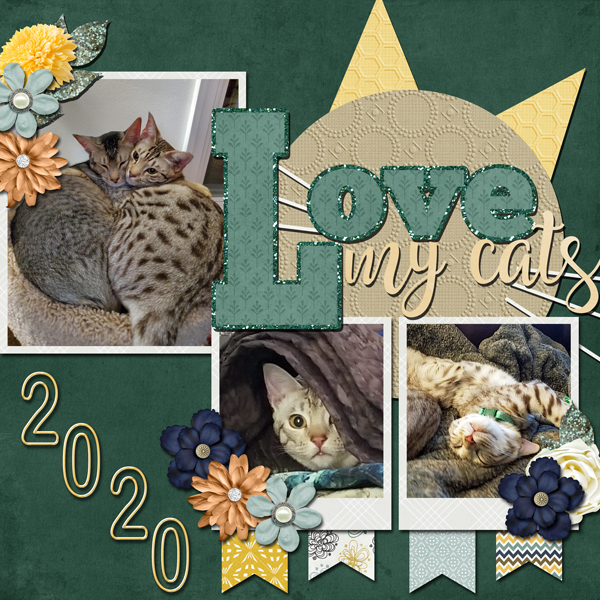 Love My Cats 2020