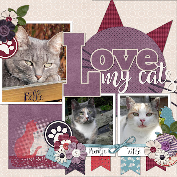 Love my cats