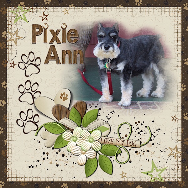 Love My Dog