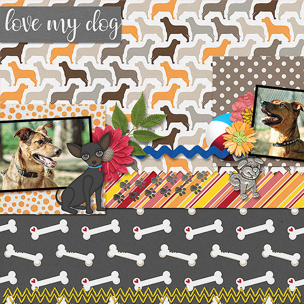 Love My Dog