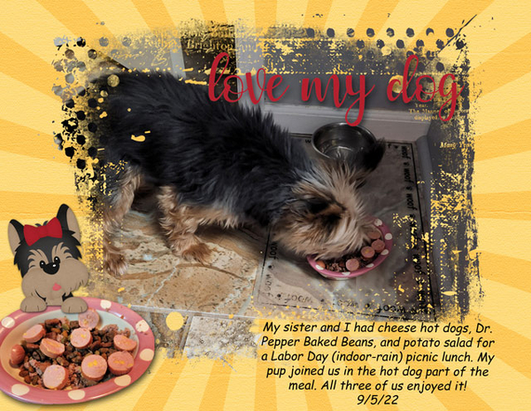 love my dog