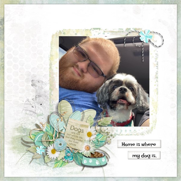 Love My Dog