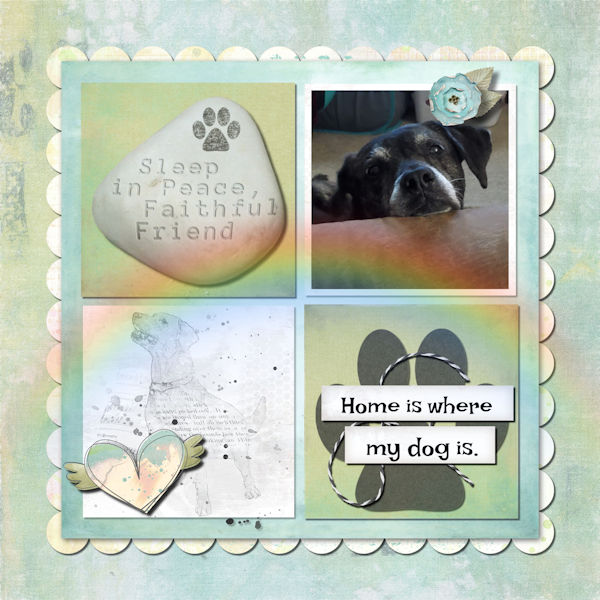 Love My Dog