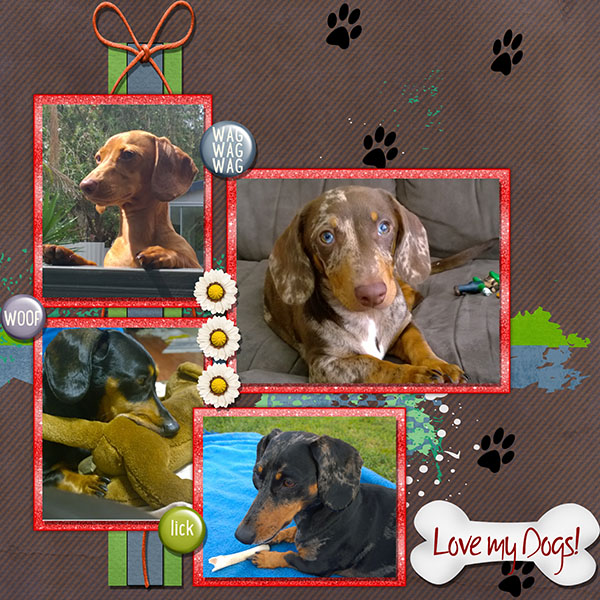 Love My Dogs!