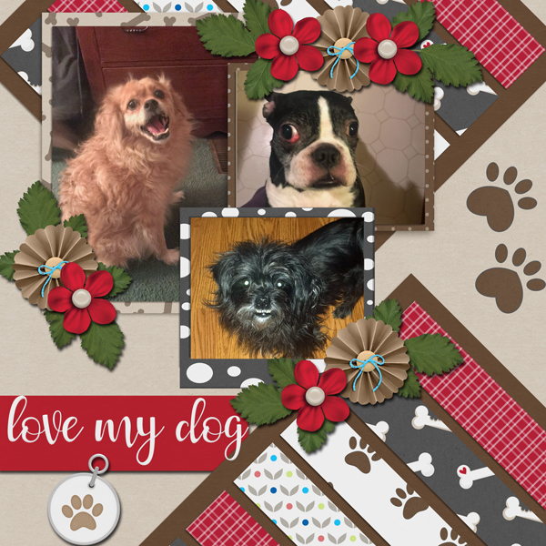 love-my-dogs