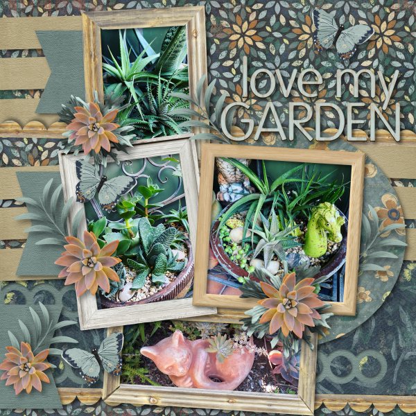 love my garden