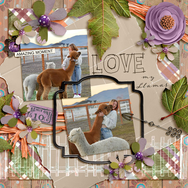 Love My Llamas