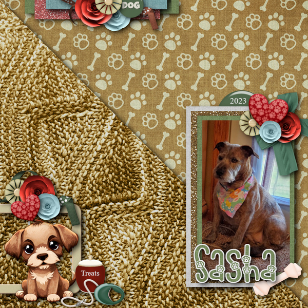 Love my Pets