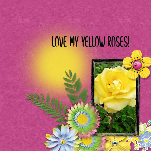Love My Yellow Roses