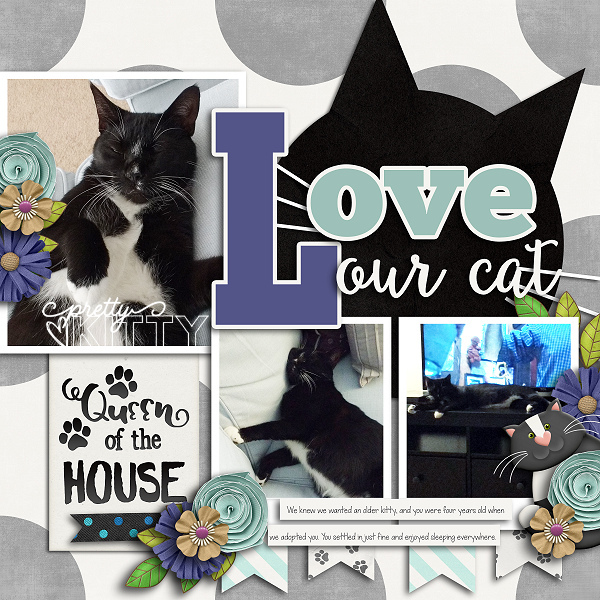 Love Our Cat
