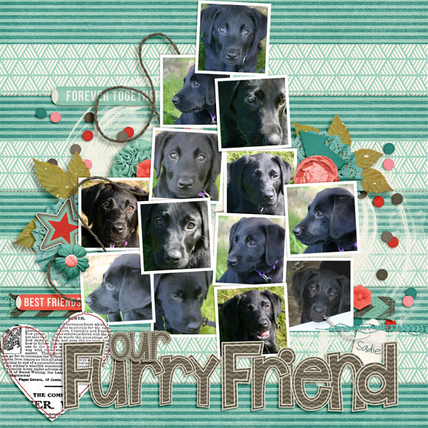 Love Our Furry Friend