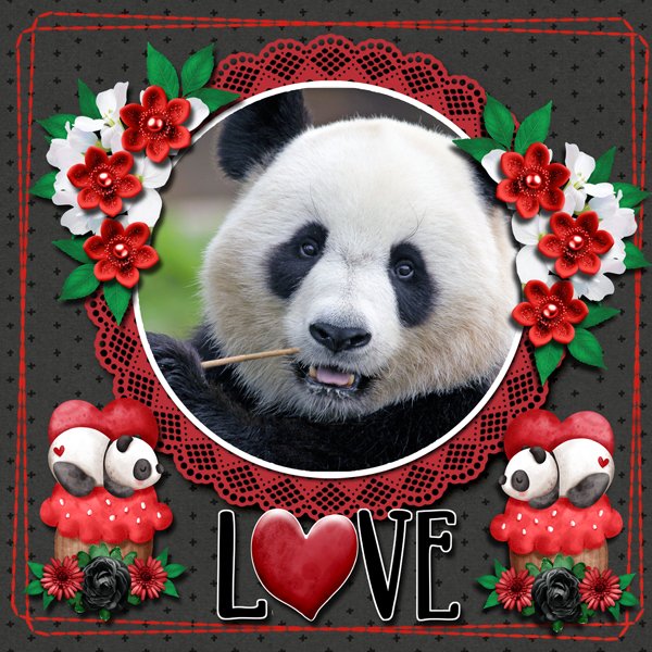 Love Pandas