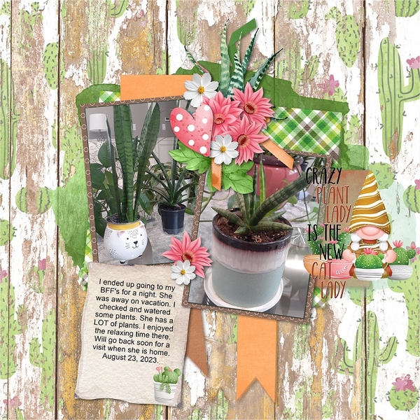 Love Plants
