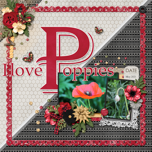 Love poppies