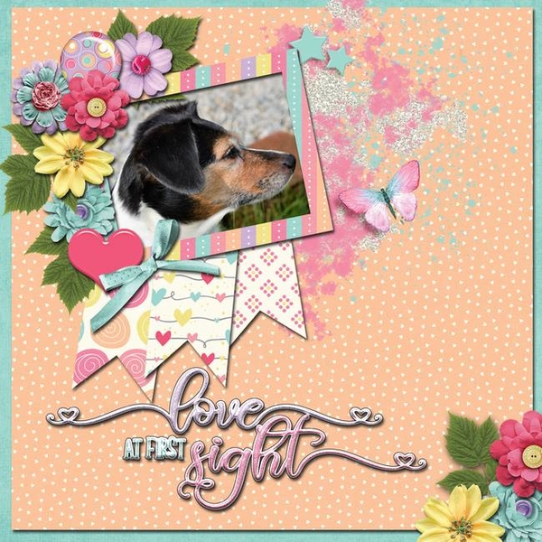 Love Pup