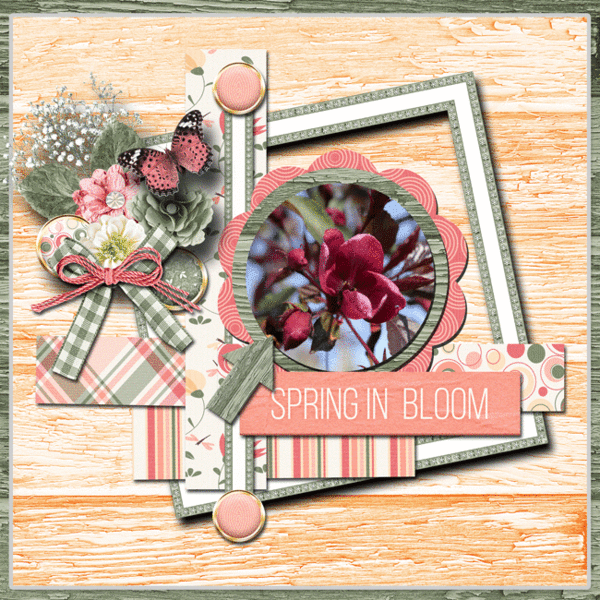 Love Spring Flowers