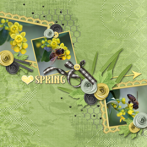 Love spring