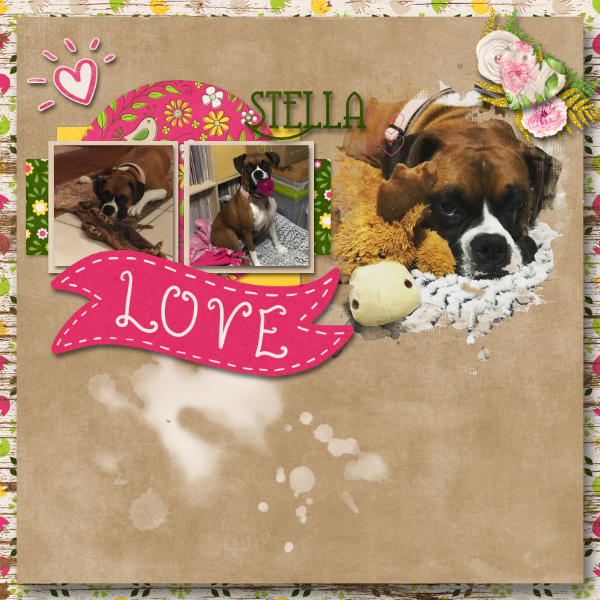 Love Stella Immunity