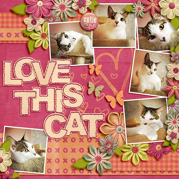 love this cat