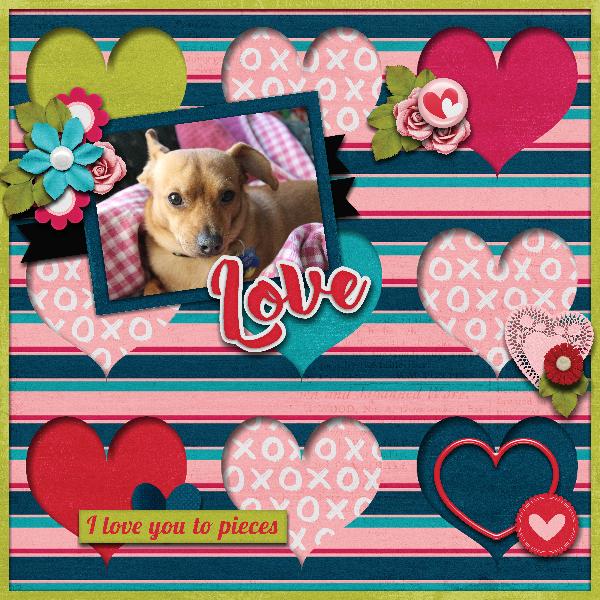 Love this Dog