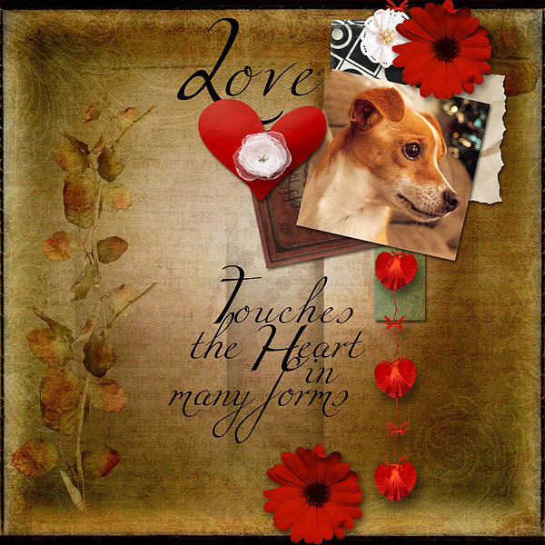 Love Touches the Heart