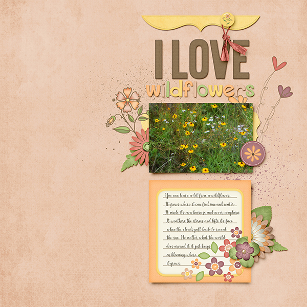 Love Wildflowers
