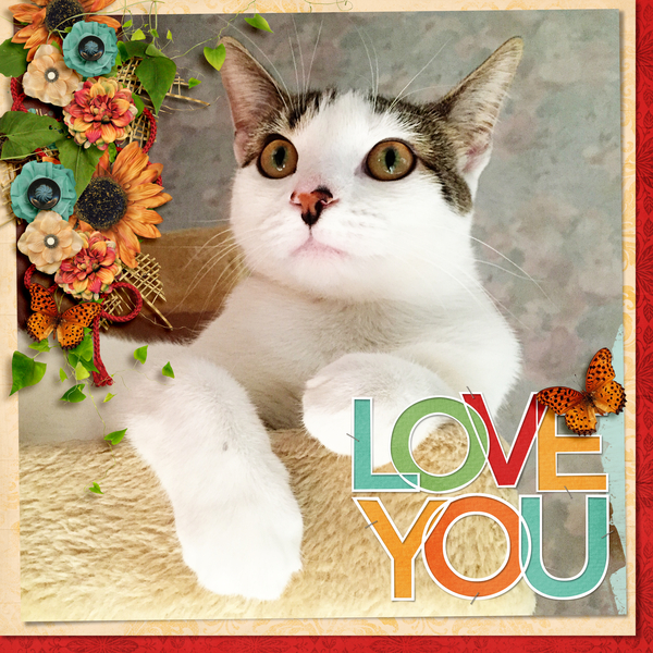 love you