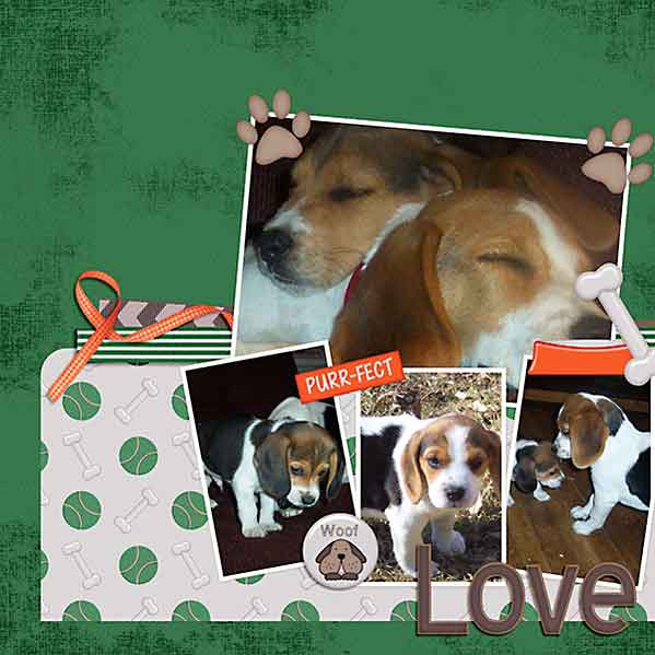Love